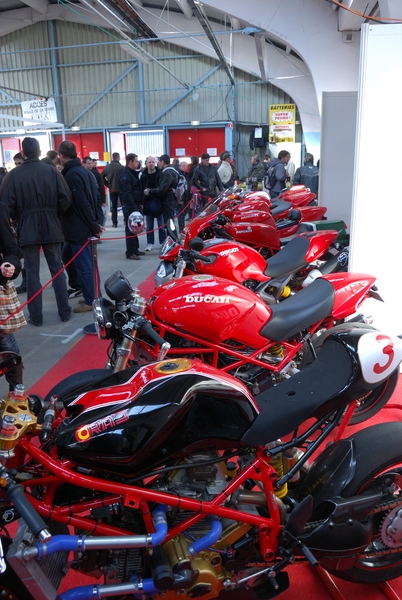 Puce_Niort_2009_050 [800x600].jpg